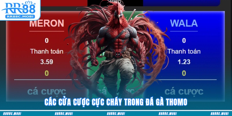 Các cửa cược cực cháy trong Đá Gà Thomo